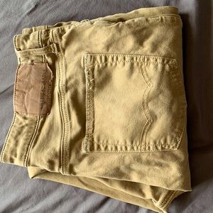 American Eagle Straight Leg Flex Kakis